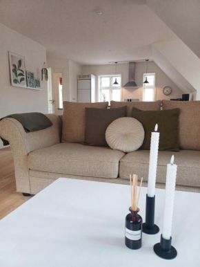 Grand Luxury Apartment In The Center Of Hoerring